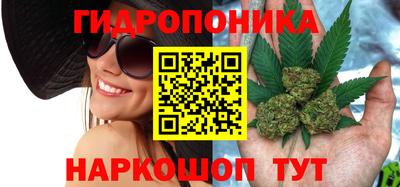 прущие крисы Гусев