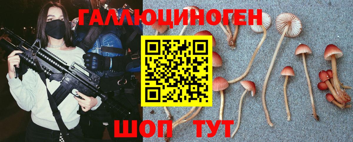 Псилоцибиновые грибы прущие грибы Медногорск